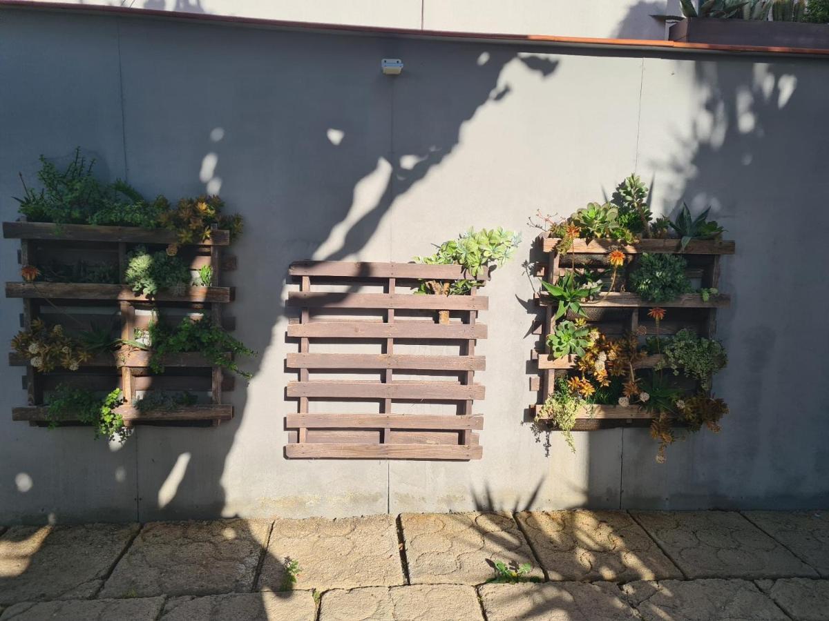 Pardelo Apartman Costa Adeje  Kültér fotó